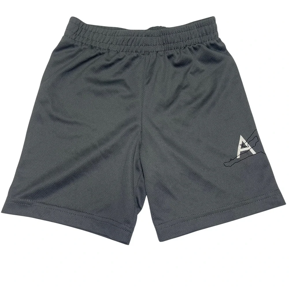Jordan Boys Gray Mesh Athletic Basketball Shorts Jumpman Air Size 4-5Y S